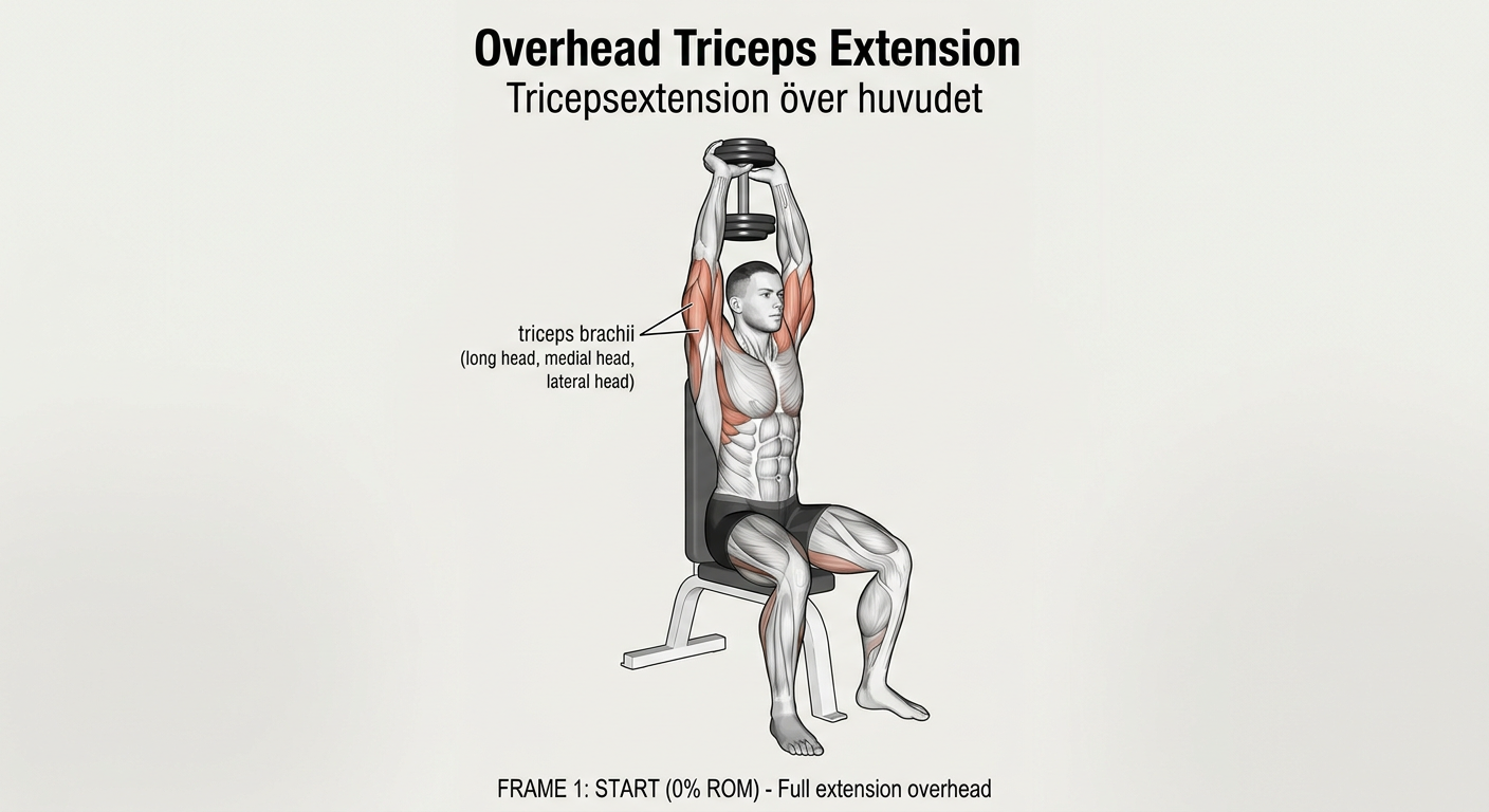 Tricepsextension över huvudet